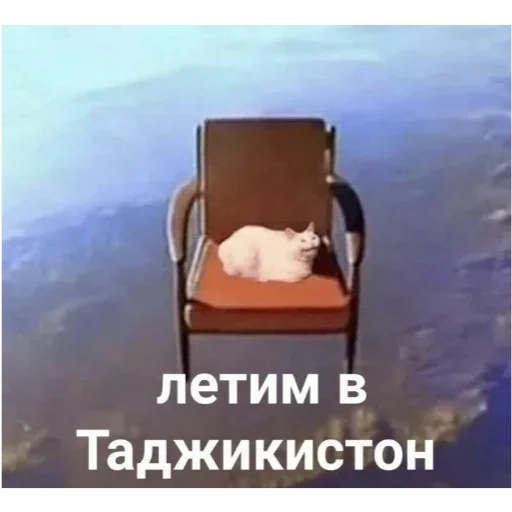 text chair furniture