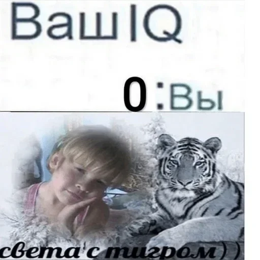 СМС большая кошка животное