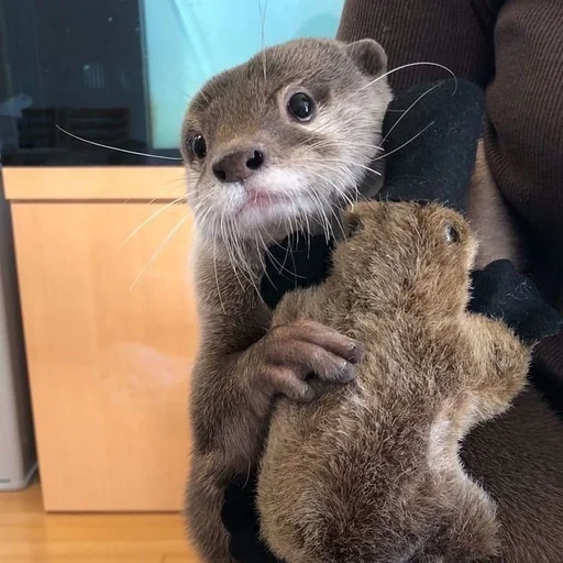 Sticker adore via :: @fStikBot - 7