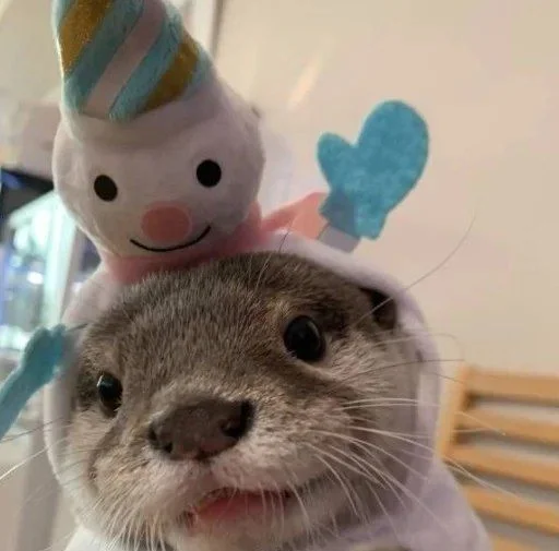 Sticker adore via :: @fStikBot - 1