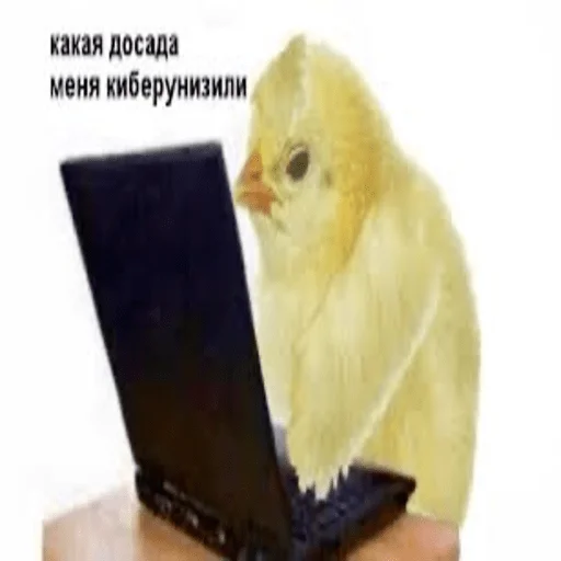 Стикер adskiyHuy - 1