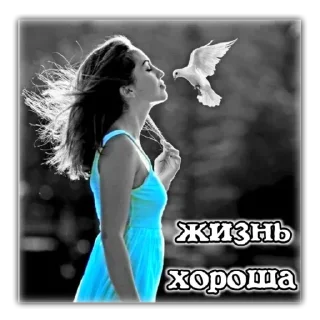 Sticker .｡.:*✧[𝚏𝚞𝚛𝚒𝚢𝚊]✧*:. - 5