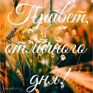 Sticker .｡.:*✧[𝚏𝚞𝚛𝚒𝚢𝚊]✧*:. - 4