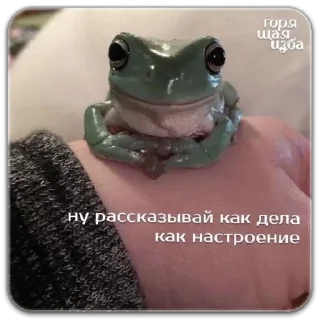 Sticker котики - 2