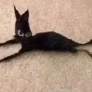 Стикер будь котом - 6