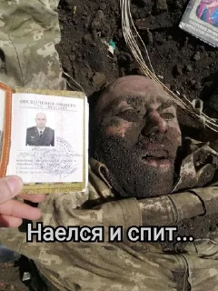 Sticker АДЪЮТАНТ @aep2222 - 10