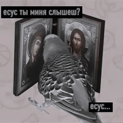 птица животное человеческое лицо