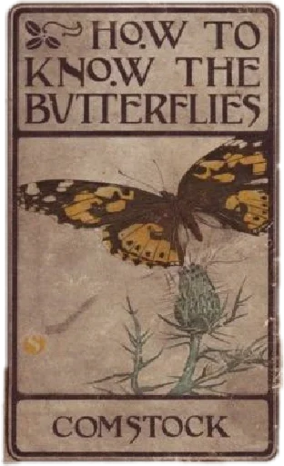 Sticker aesthetics - 3