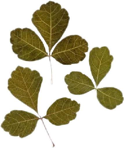 Sticker aesthetics - 1