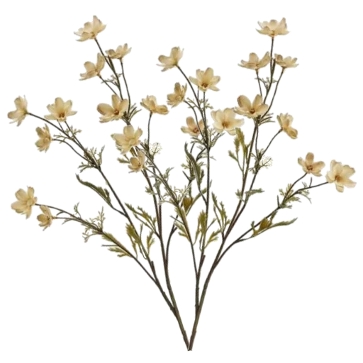 Sticker aesthetucsxx - 1