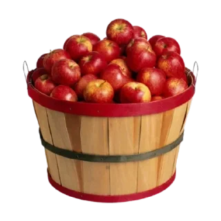 Sticker =͟͟͞ᴀᴇsᴛʜᴇᴛɪᴄs sᴛɪᴄᴋᴇʀs♡ @aesthetucsxx ᯓ - 9