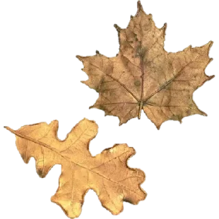 Sticker =͟͟͞ᴀᴇsᴛʜᴇᴛɪᴄs sᴛɪᴄᴋᴇʀs♡ @aesthetucsxx ᯓ - 7