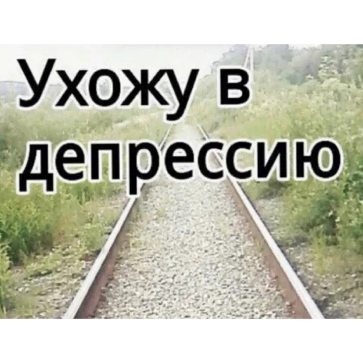 СМС скриншот растение