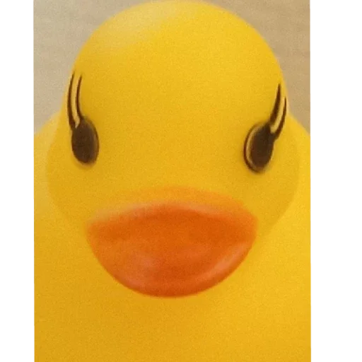 резиновая утка утка игрушка