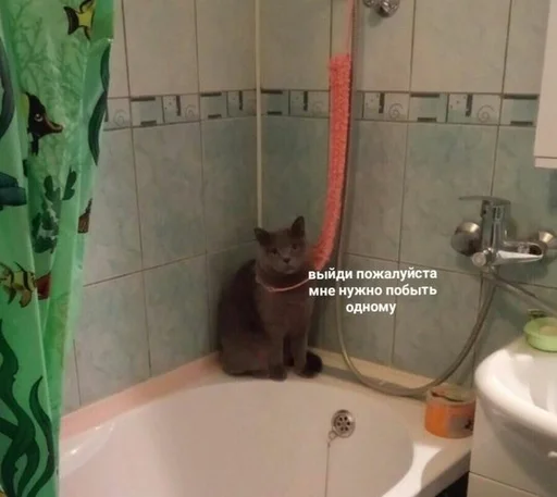 Sticker Мои пизделки (агент ирис) - 0