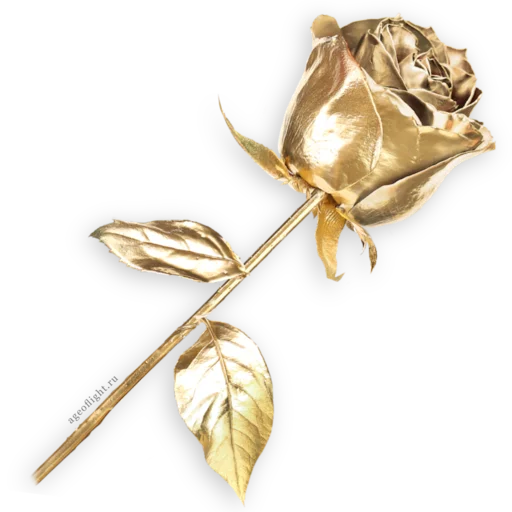 Стикер ageoflight - 1