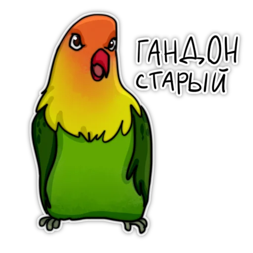 bird clipart cartoon