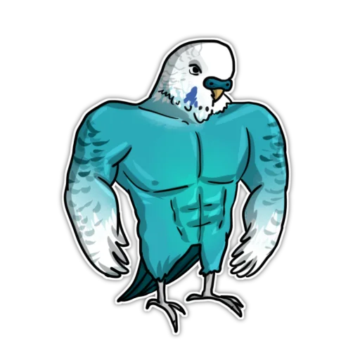 drawing sketch illustration