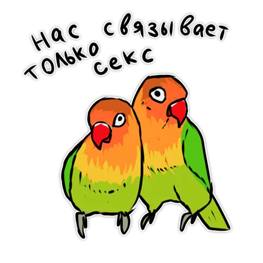 bird clipart illustration