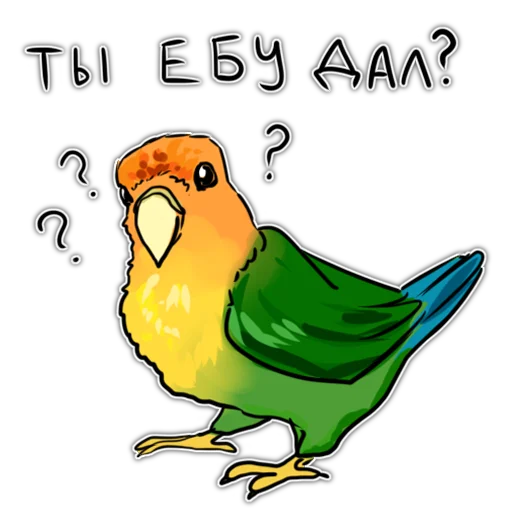 bird drawing clipart