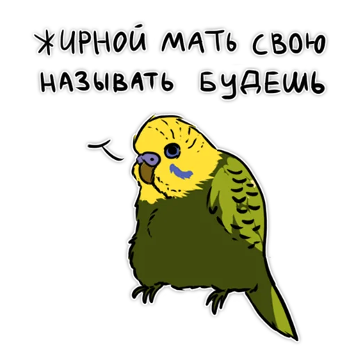 clipart text bird