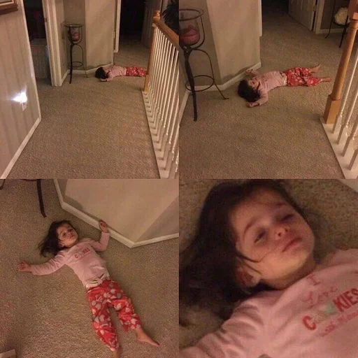 человеческое лицо Человек комнатный