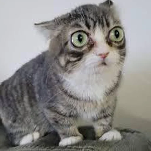 Стикер ahelpfulpack - 1