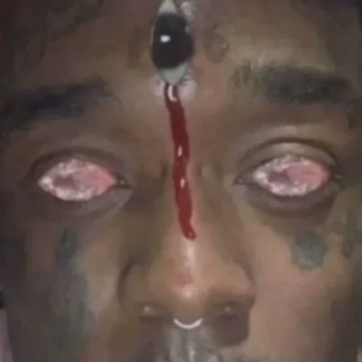 human face eyebrow eyelash