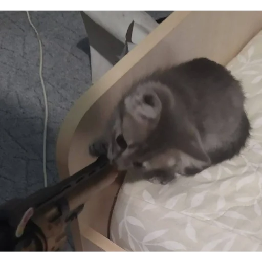 тамара этинзон - 