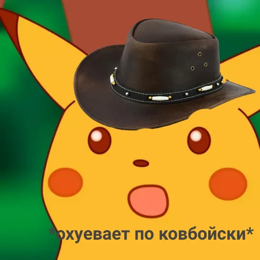 hat sun hat clothing