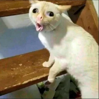 Стикер Ciganshina - 11