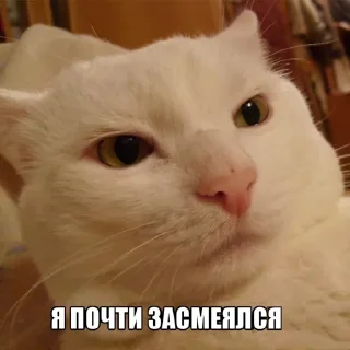 Стикер Ciganshina - 6