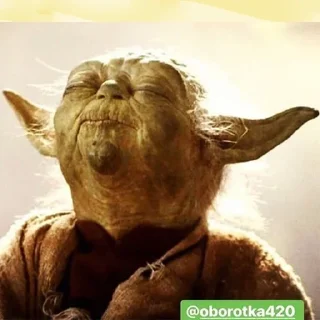 Sticker @rasta_memes - 10