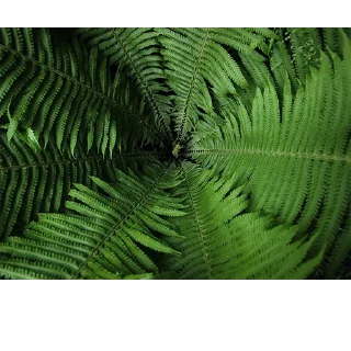 Sticker @aimpkz - 11