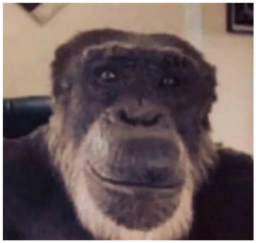 Больше стиков тут: @stikery4 - 