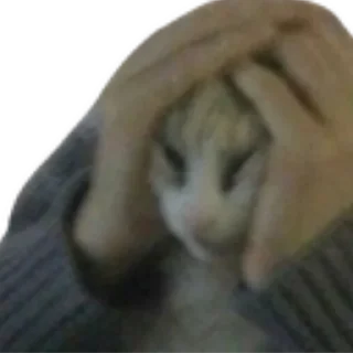 Sticker личные стикеры Айвена - 1