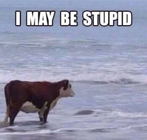 Стикер все че я юзаю чаще by @fStikBot - 3