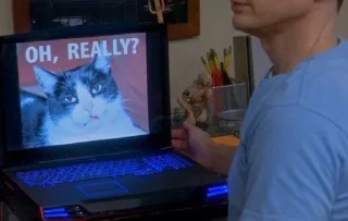 Стикер Больше стикеров 👉🏻 @stickertg4 - 8