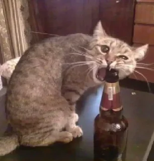 Sticker @akaflakka - 8