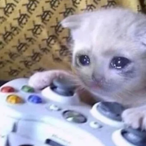 ah shit, here we go again! @akiiyu - text