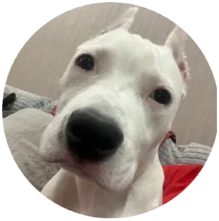 Sticker Семья - 5