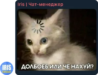 Sticker фигня какая-то - 10