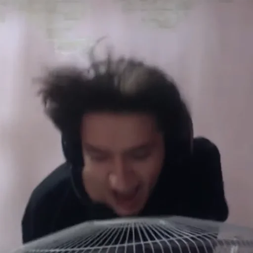 Человек человеческое лицо комнатный