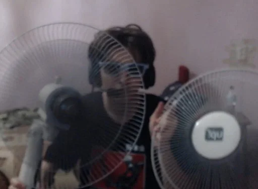 fan device mechanical fan