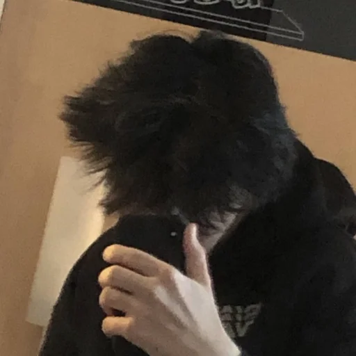 млекопитающее чёрный комнатный