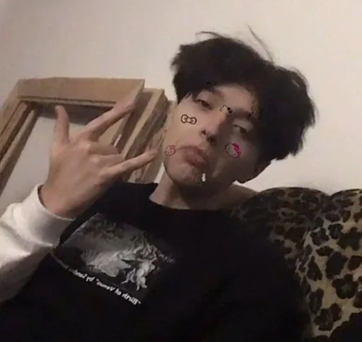 Человек человеческое лицо комнатный