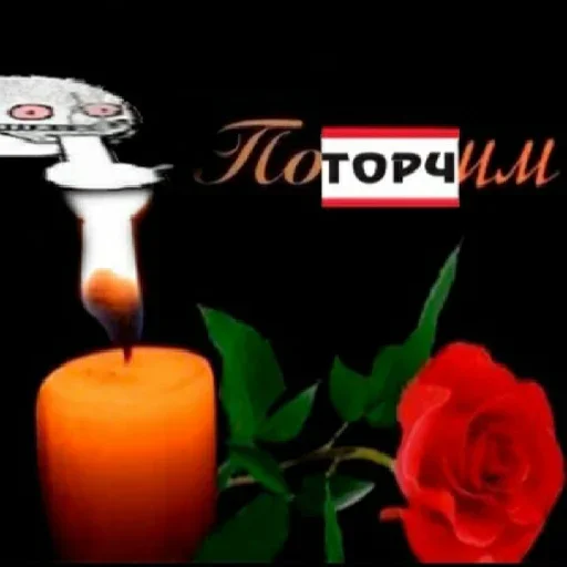 candle rose still life photography