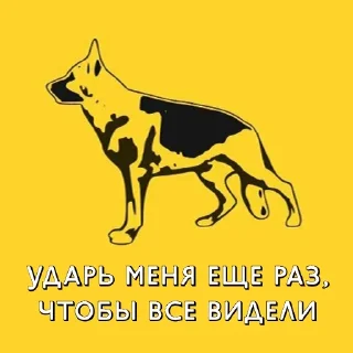 Стикер @albertvictory - 8