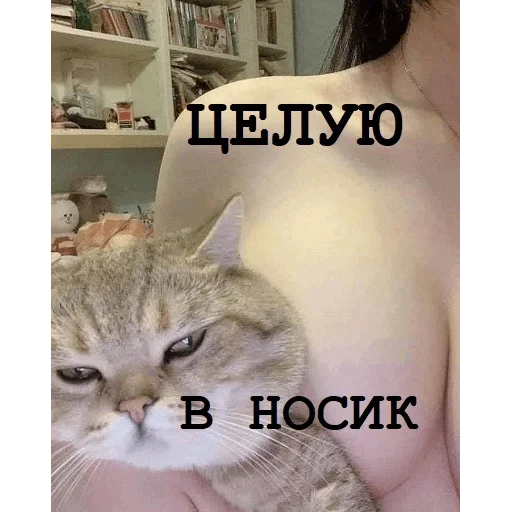 Sticker alco_marinad - 1