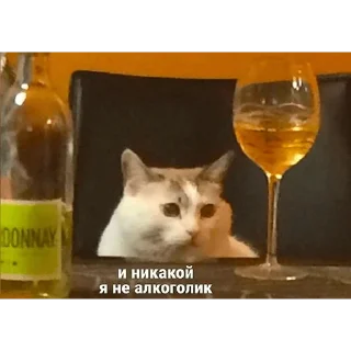 Стикер Маринад - 8